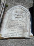 image of grave number 810235