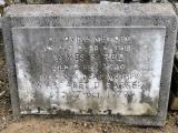 image of grave number 237060