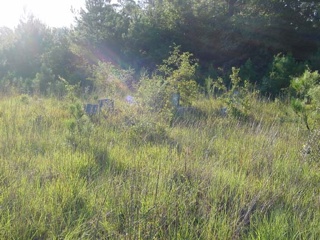 photo of Deliverance Whiteville Road Cemetery