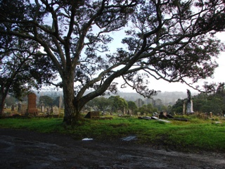 photo of Waikumete Cemetery