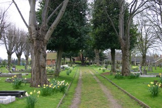 photo of Municipal Cemetery