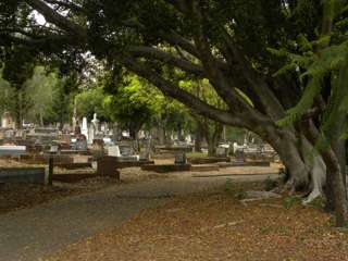 photo of Balmoral Cemetery