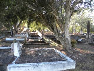 photo of Balmoral (section 13) Cemetery