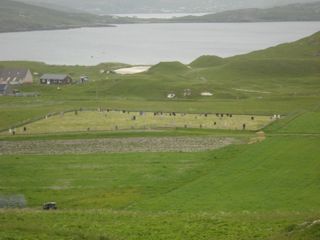 photo of Vatersay Cemetery