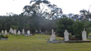 photo of Riddells Creek Cemetery