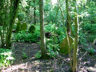 photo of St Mary's Church burial ground