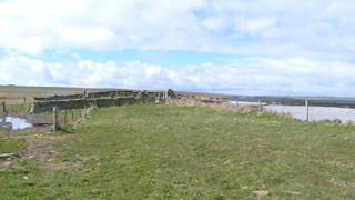 photo of St Peter's Church burial ground