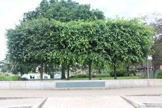 photo of Atherstone Fire Memorial