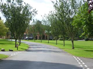 photo of Randalls Park Municipal Cemetery