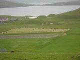 Vatersay