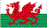 Welsh volunteers