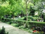 French Church burial ground, Berlin