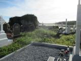 Abbey burial ground, Rosscarbery