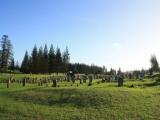 Kingston Cemetery, Kingston