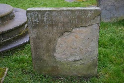 frost damage at Castleton, Derbyshire (6713)