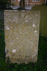 lichen damage at Barrowby, Lincolnshire (5908)