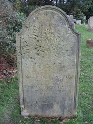 wind erosion at Little Common, Sussex (1095)