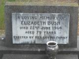 Bush