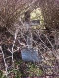 Wingham
