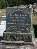 image of grave number 868360