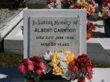 image of grave number 868416