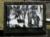 image of grave number 871768