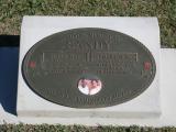 image of grave number 868296