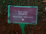 image of grave number 746674