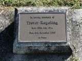 image of grave number 843798