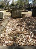 image of grave number 266890