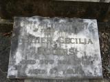 image of grave number 266959