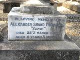 image of grave number 267101