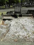 image of grave number 267132