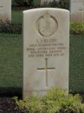 Lutwyche War