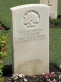 Lutwyche War