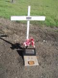 image number bryn0029