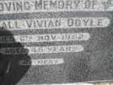 image of grave number 315587