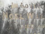 image of grave number 315590