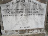 image of grave number 315572