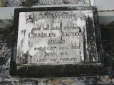 image of grave number 804303