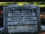 image of grave number 803648