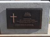 image of grave number 619441