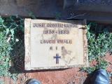 image of grave number 619707
