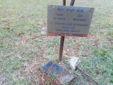 image of grave number 619863