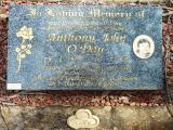 image of grave number 619003