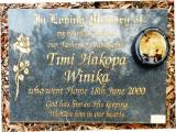 image of grave number 619020
