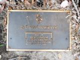 image of grave number 619029