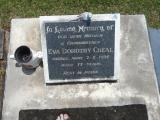 image of grave number 618651