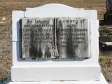 image of grave number 870087