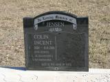 image of grave number 870111